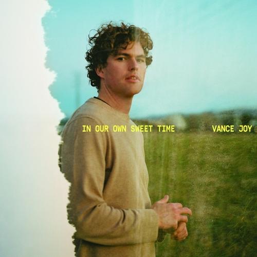 VANCE JOY - IN OUR OWN SWEET TIME