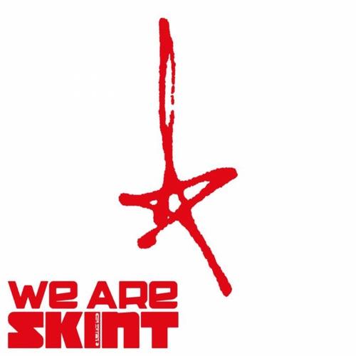 V.A. - We Are Skint